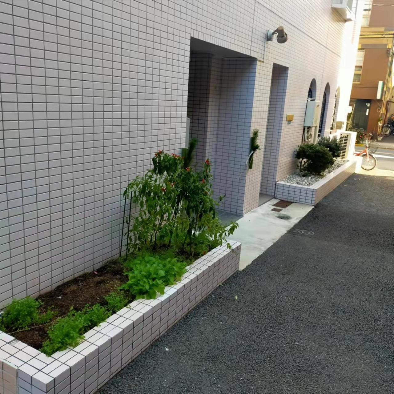 Shiki No Sai Asakusa Tokyo Dış mekan fotoğraf